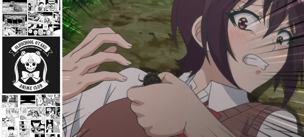 Бедствие ли это? / Sounan Desu ka? 