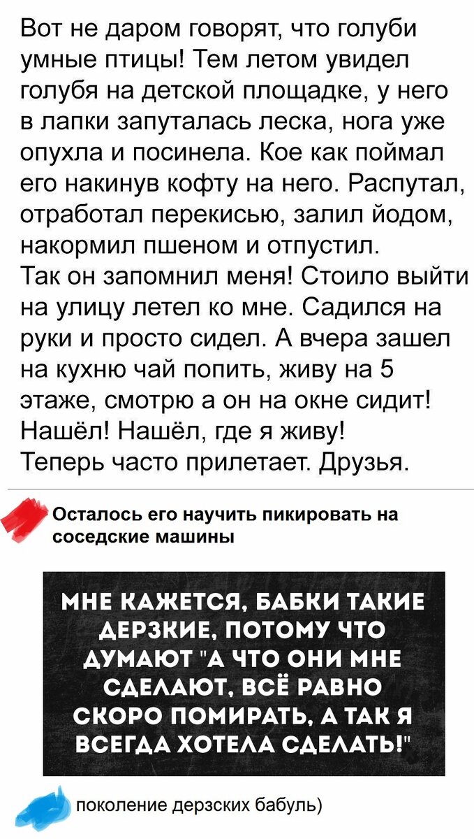 Когда молоды душой)