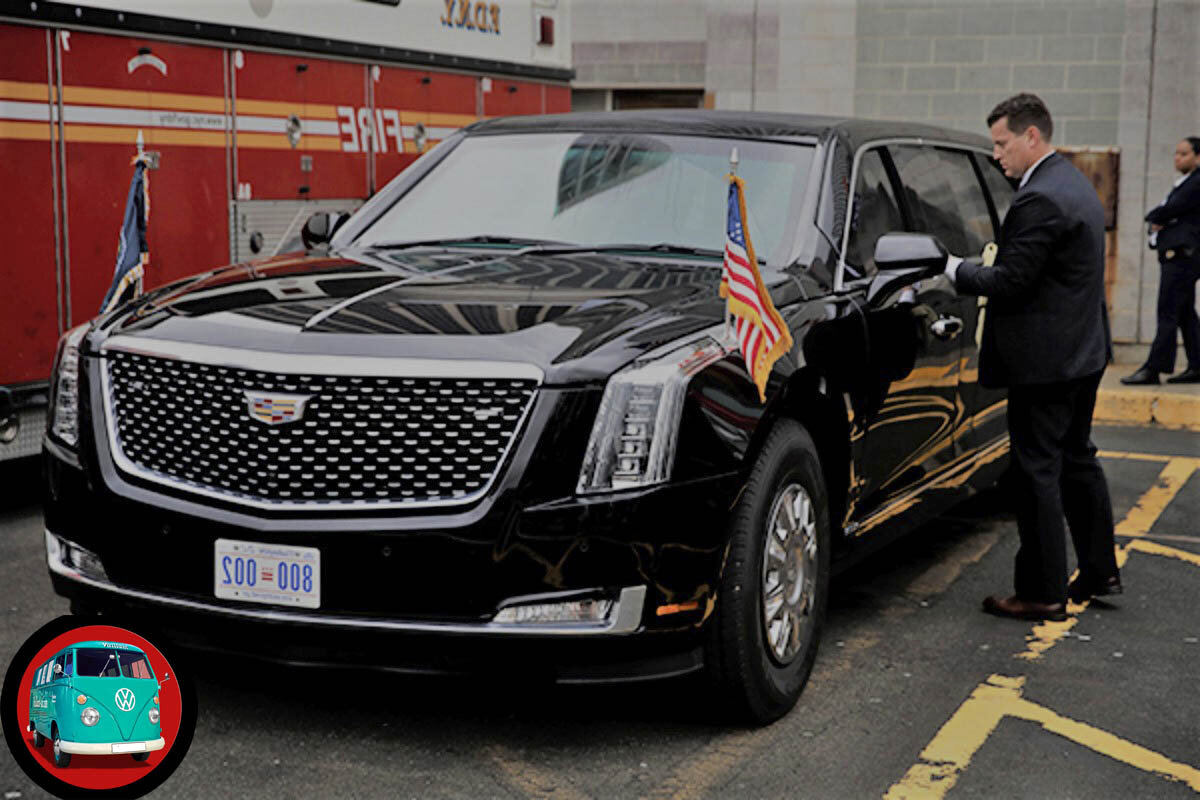 Зверь  на парковке