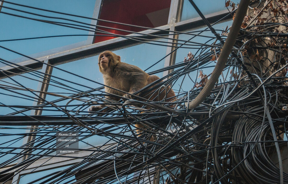 Кошмар электрика и монтажника с матом: провода в Катманду, которые наводят реальный страх на туристку из Америки