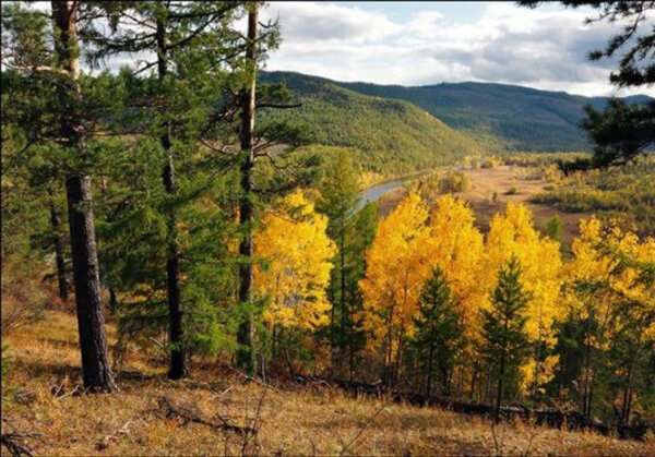 Забайкальский край фото