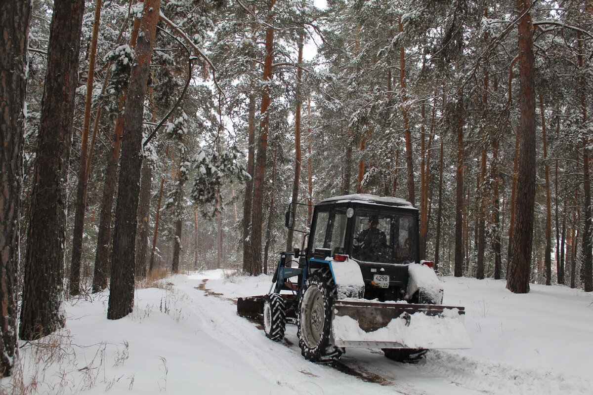 Наша экспедиция задуманная еще зимой носила научный. Трактор чистит лес. МЧС чистят лес.