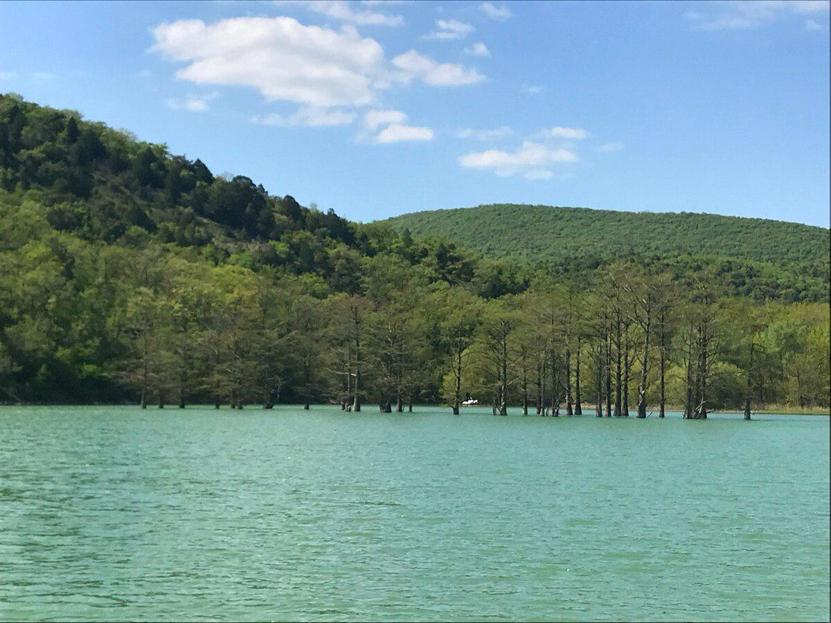 Это они же летом)