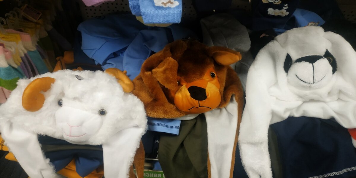 собственное фото