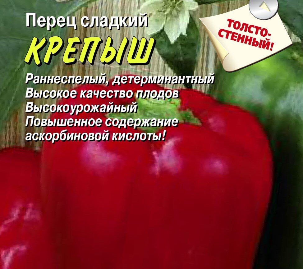 Перец крепыш описание сорта фото отзывы