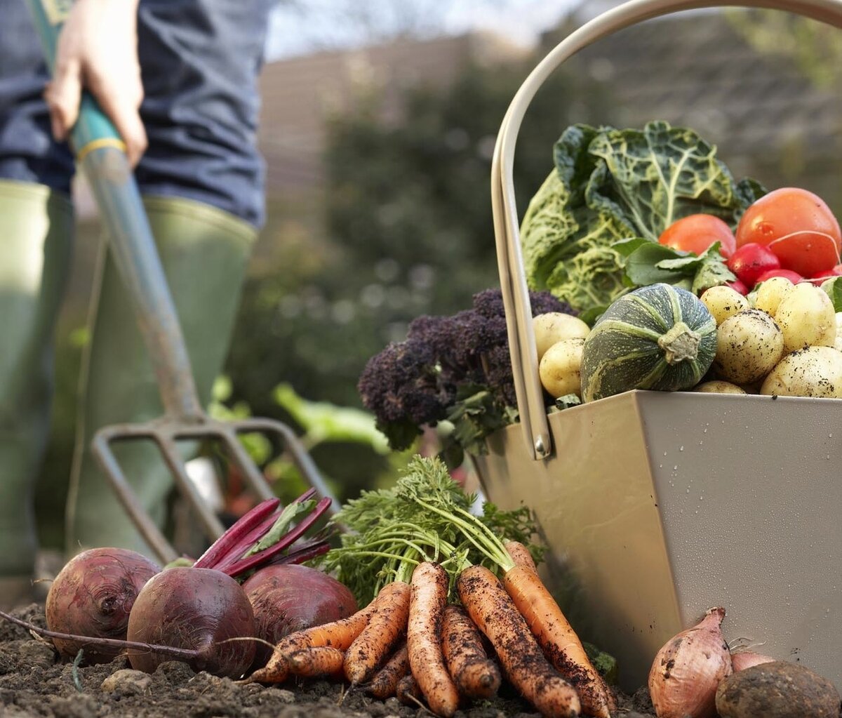 Фото с сайта vk.com