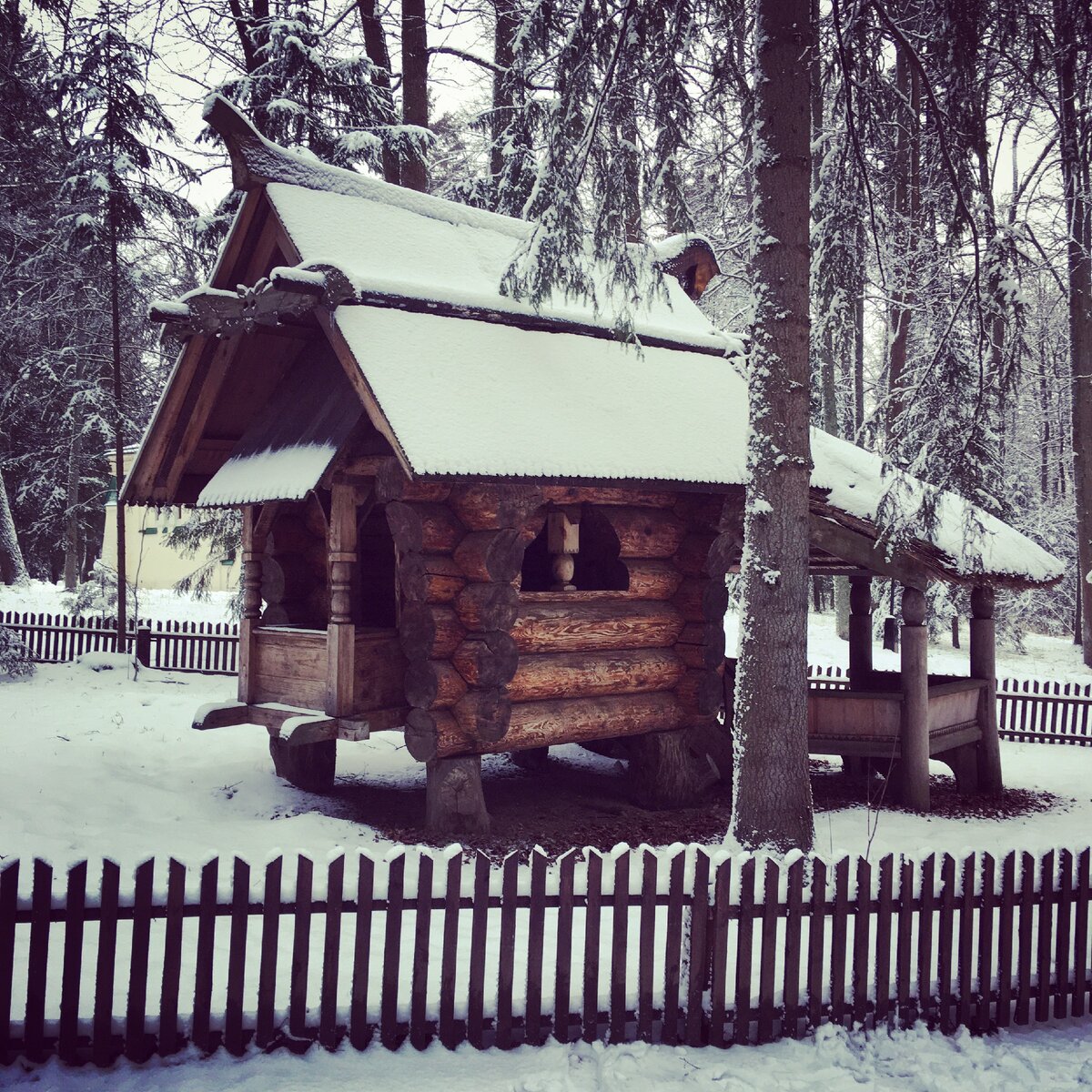 Избушка построена в 1883 г. по проекту художника В. М. Васнецова