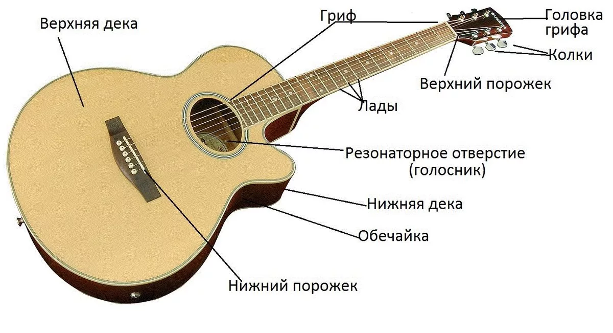Строение акустической гитары схема. Строение гитары акустической 6 струнной. Гитара строение гитары классической. Гитара строение гитары акустической.
