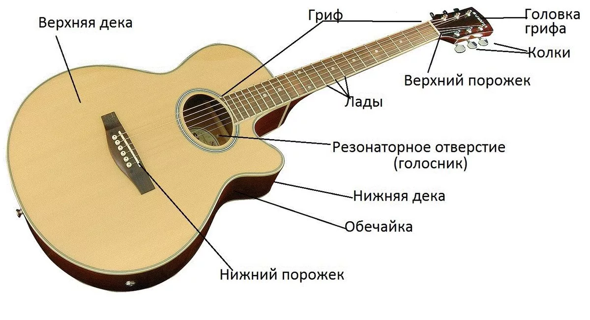 Скрип гитары. Строение гитары акустической 6 струнной. Как называются все части гитары. Схем аутройств Агитары. Строение гитары классической.