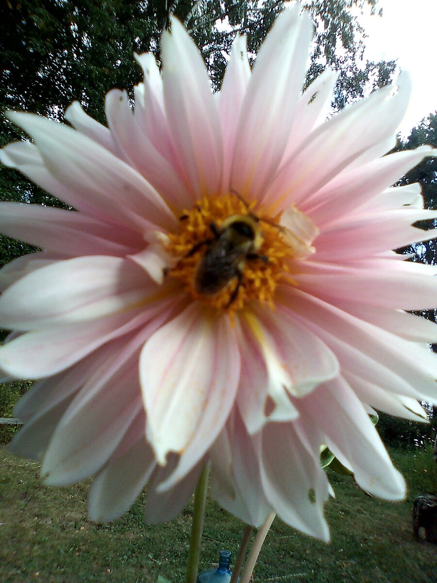 Около моего "домика в деревне"