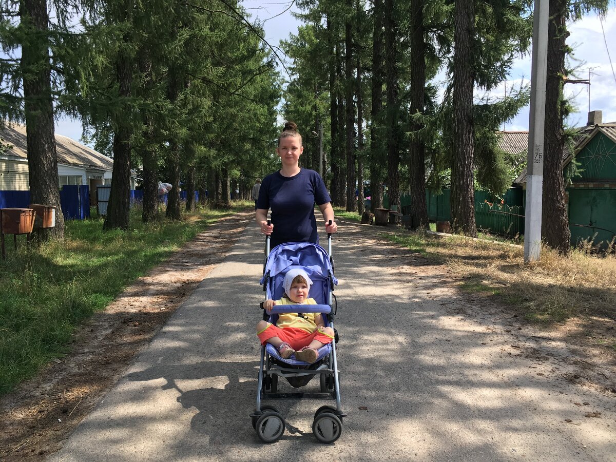 Аллея около конного завода