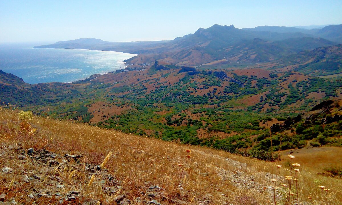 Лисья бухта