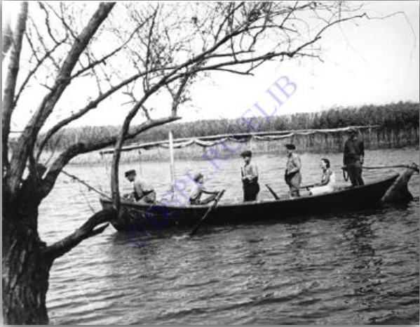 Партизаны в плавнях Александровский партизанский отряд [фотография] 
Библиотечный фонд: Донская Государственная Публичная Библиотека