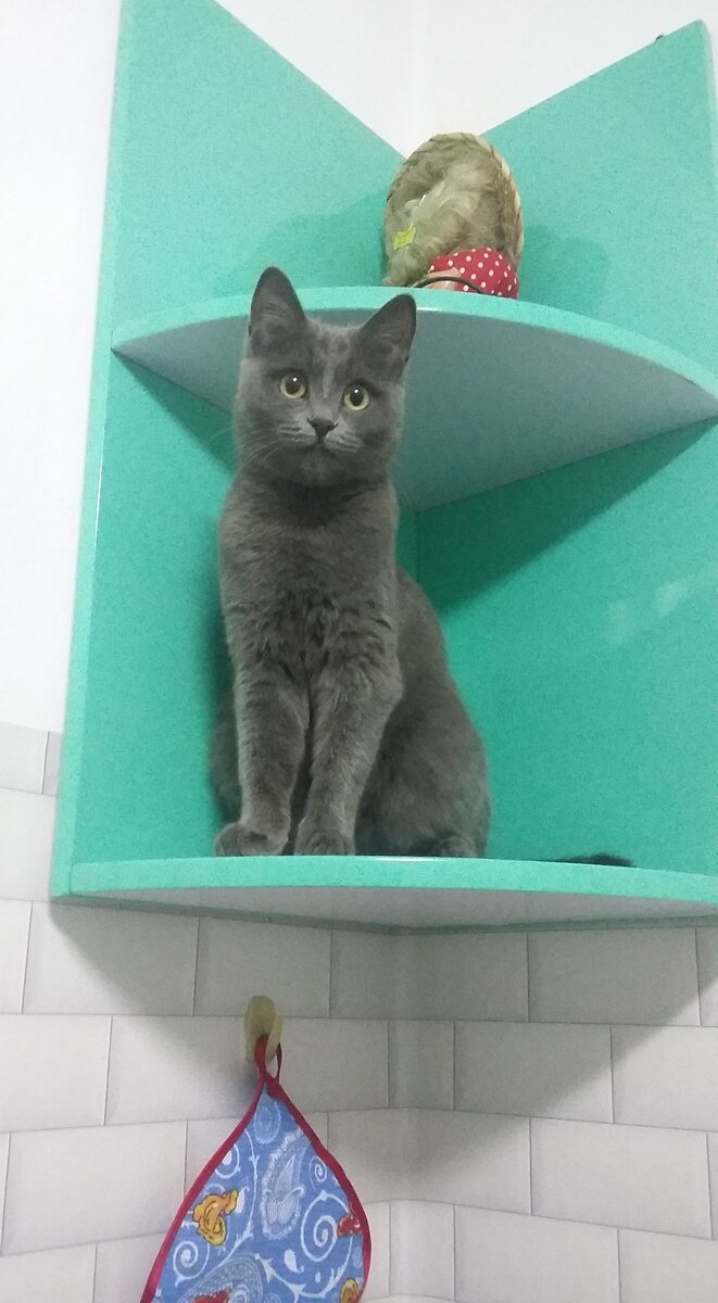 Скалалазка моя))