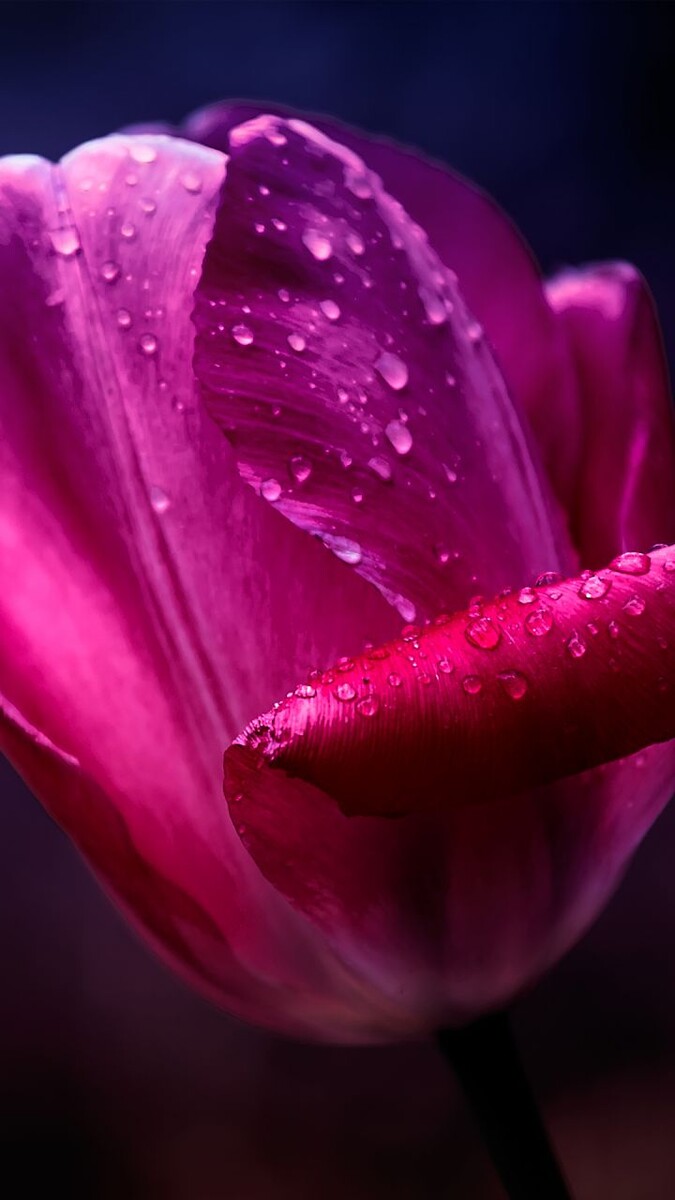 Пожалуйста поставьте лайк и подпишитесь на канал если вам понравилось. 