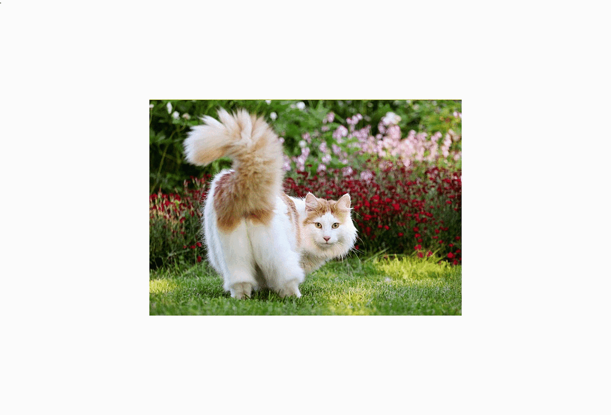 Вы шпионите?! Вот и смотрите на то что заслужили!