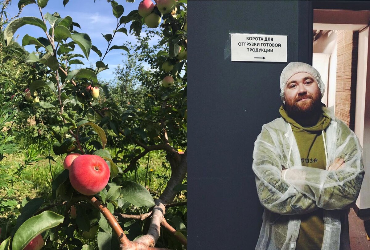 Артем Перлин