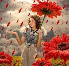 Фото из открытого доступа в Интернете