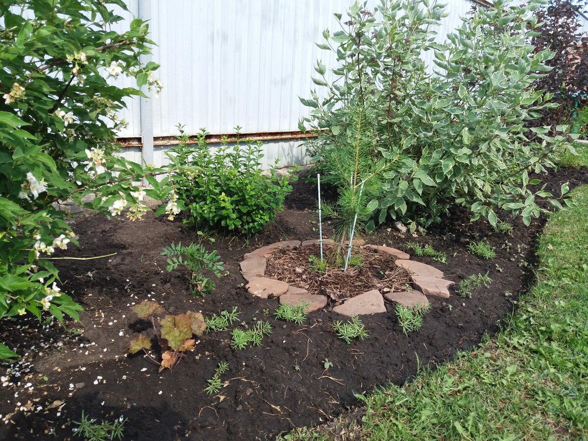 Фото ближе не нашла