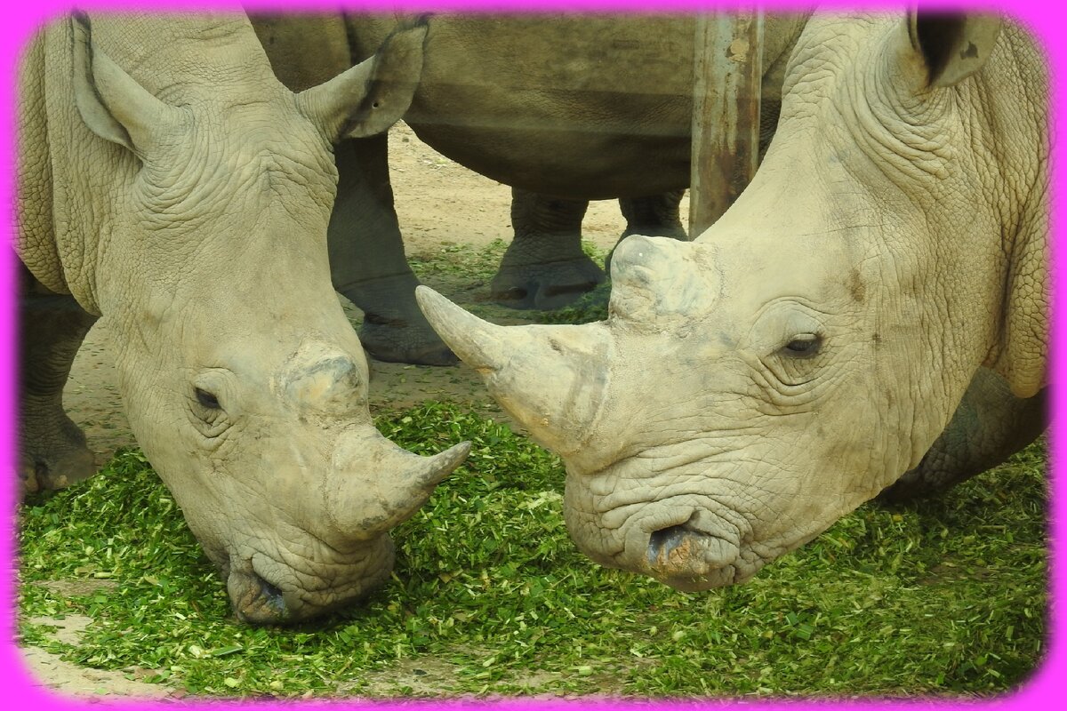 Здравствуйте.Мы ждем Вас.