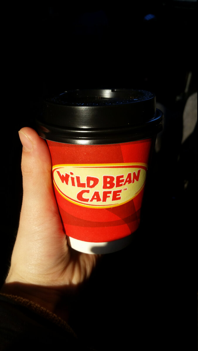 Кофе Капучино с АЗС BP. Фото Любешкина В.