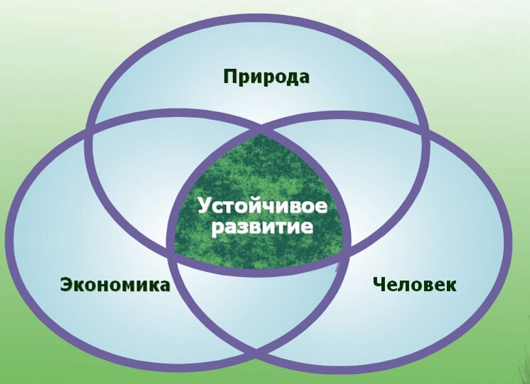 Культуру часто определяют как вторую природу план