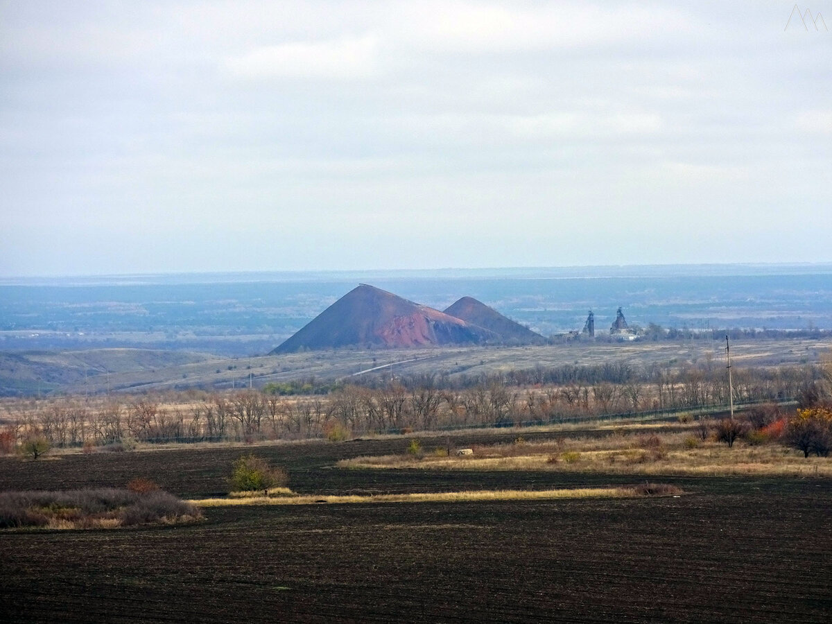 Природа Донбасса