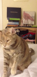 Изображение представлено в рамках свободного цитирования