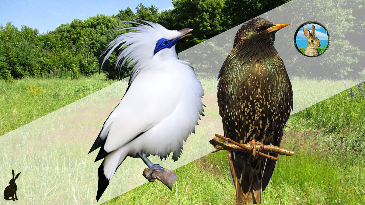 Ставьте лайки, подписывайтесь на канал. Вам не сложно, а мен приятно.