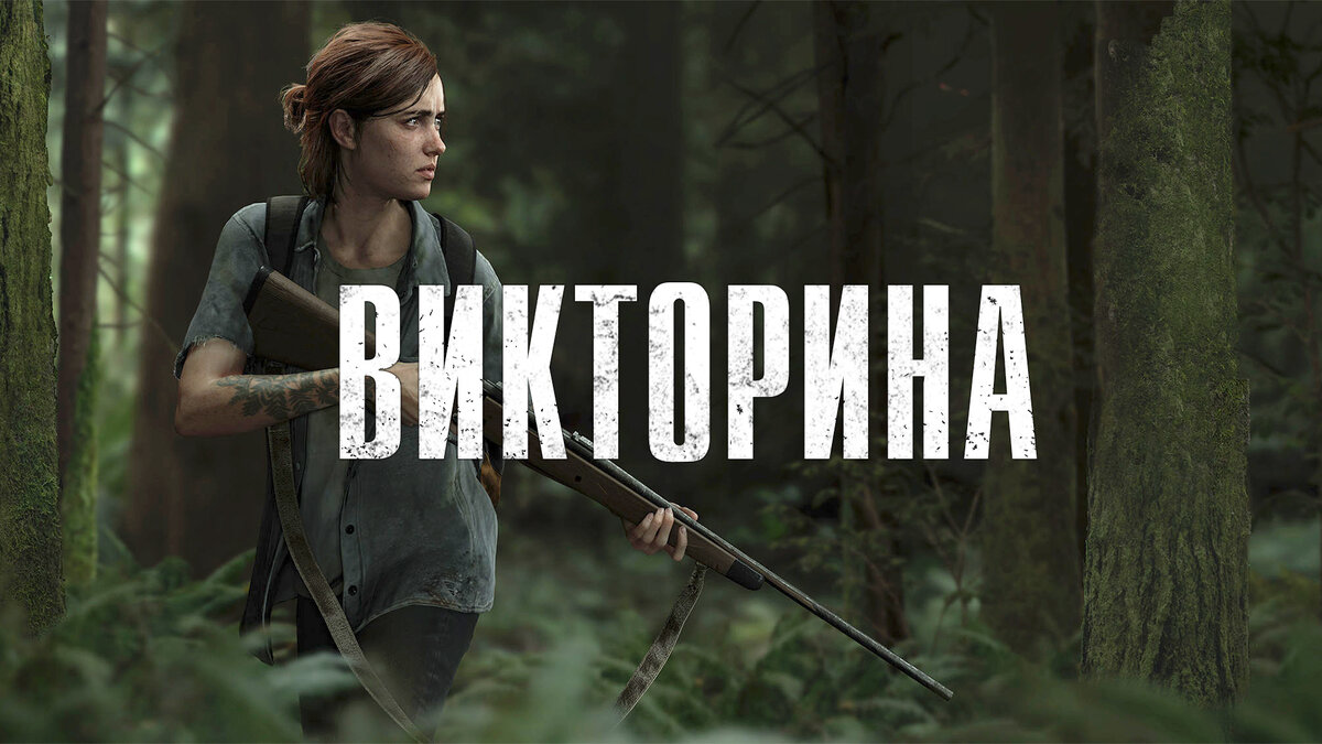 Изображение сделано самостоятельно.