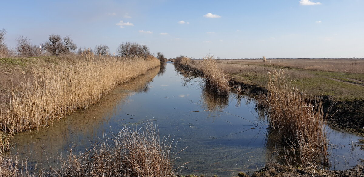 Красота весеняя