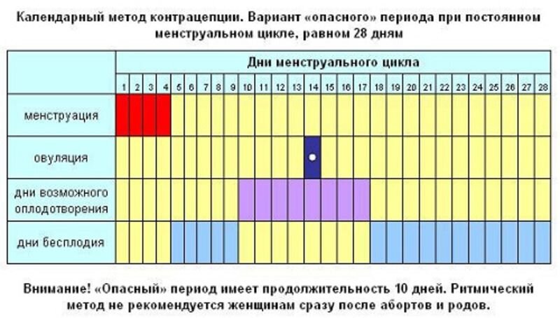 Фото шейки матки по дням цикла.