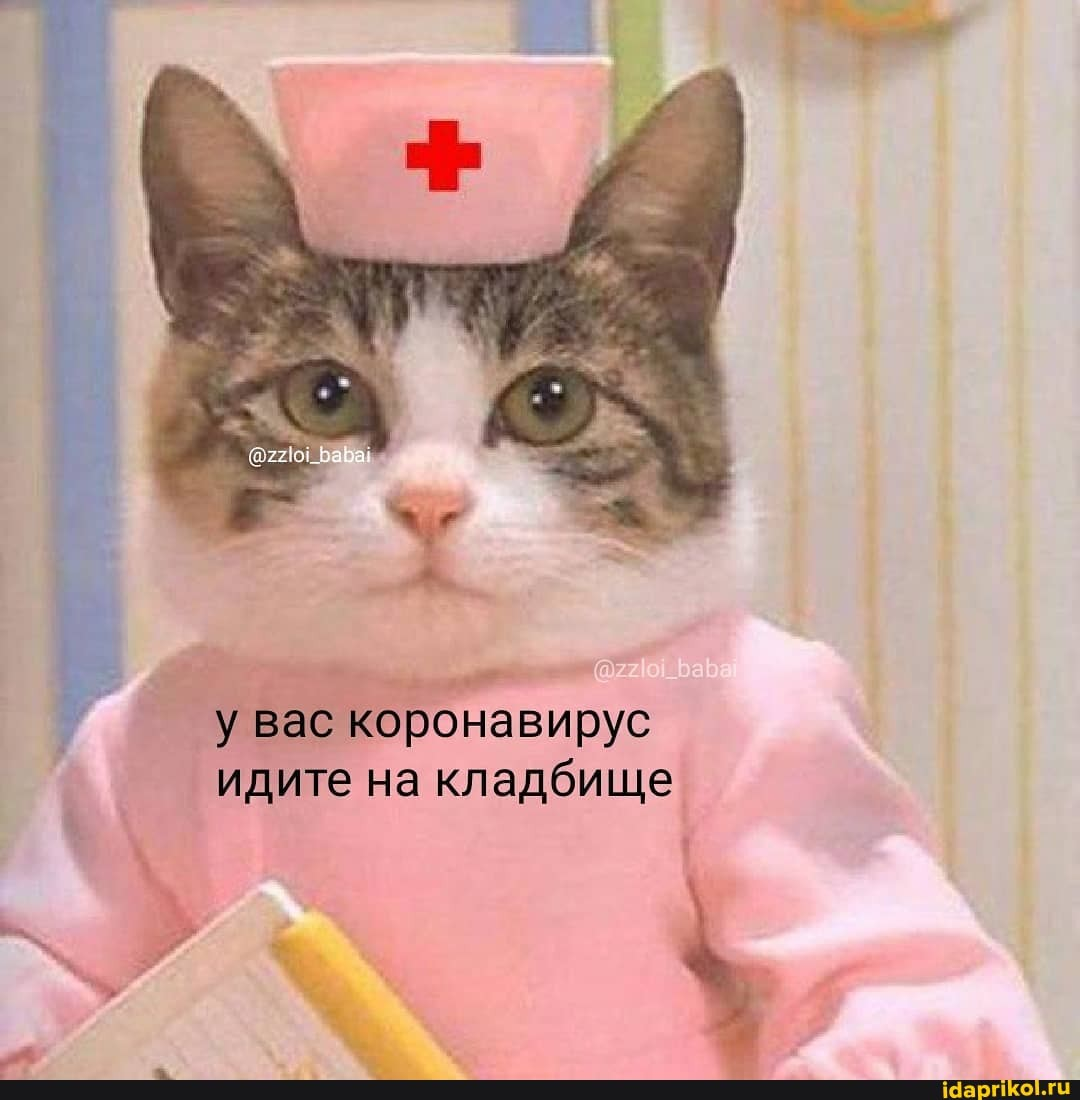 ничего уже не спасёт