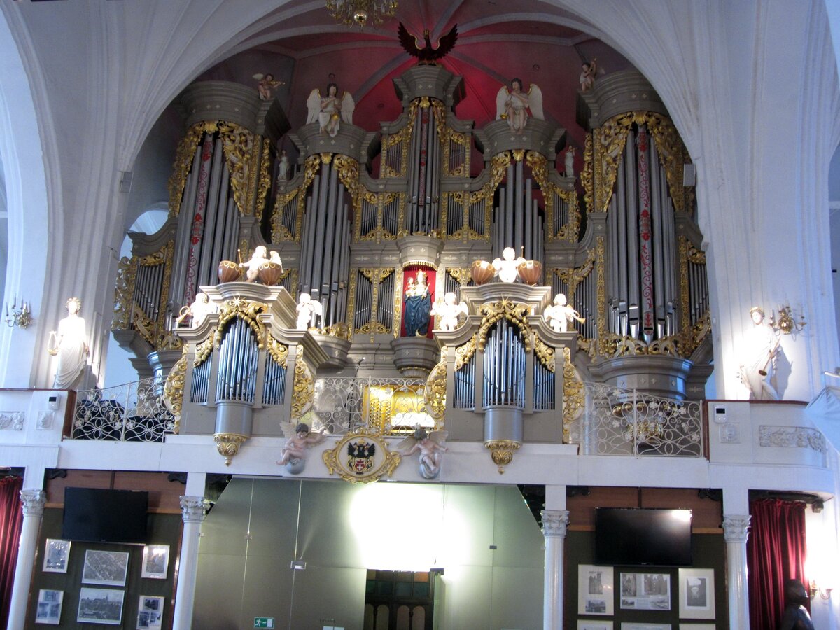 кафедральный собор в калининграде орган