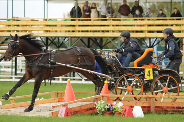 Источник фото сервис Яндекс.Картинки