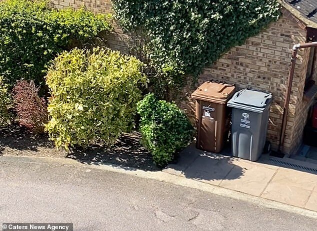 Источник: dailymail.co.uk 