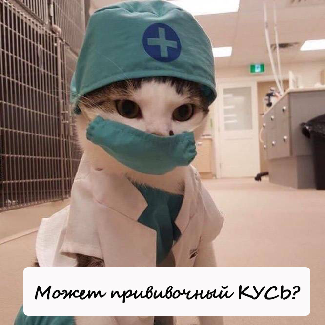 Источник - Я.картинки