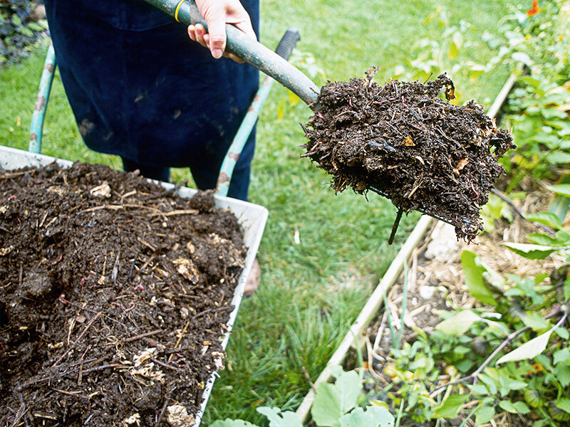 2.5-3 кг перепревшего навоза