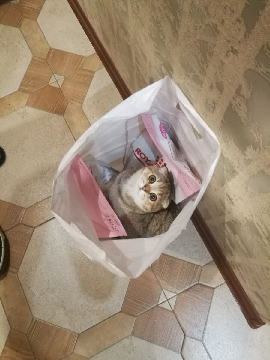 Чего смотришь? Это все мое!