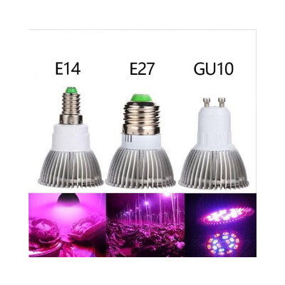 Фитолампы для домашних растений, фитолампы для цветов