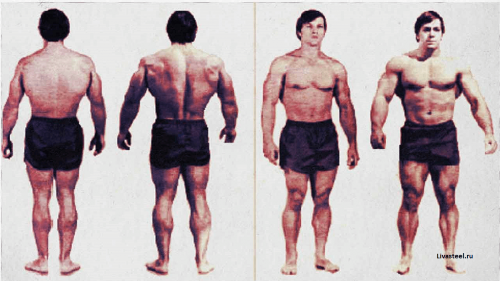 Колорадский эксперимент программа тренировок. Кейси Вайатор колорадский эксперимент. Колорадский эксперимент Артура Джонса. Кейси Вайатор рост вес. Колорадский эксперимент 28 кг мышц.
