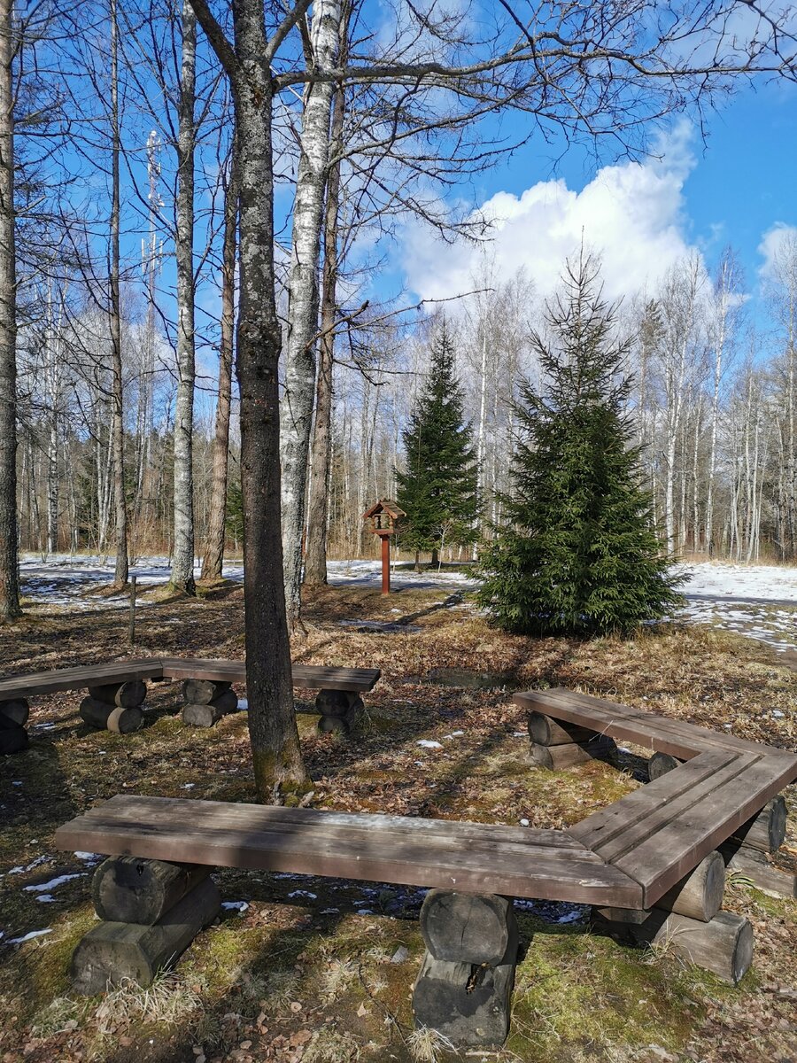 Экотропа зеленогорск карта