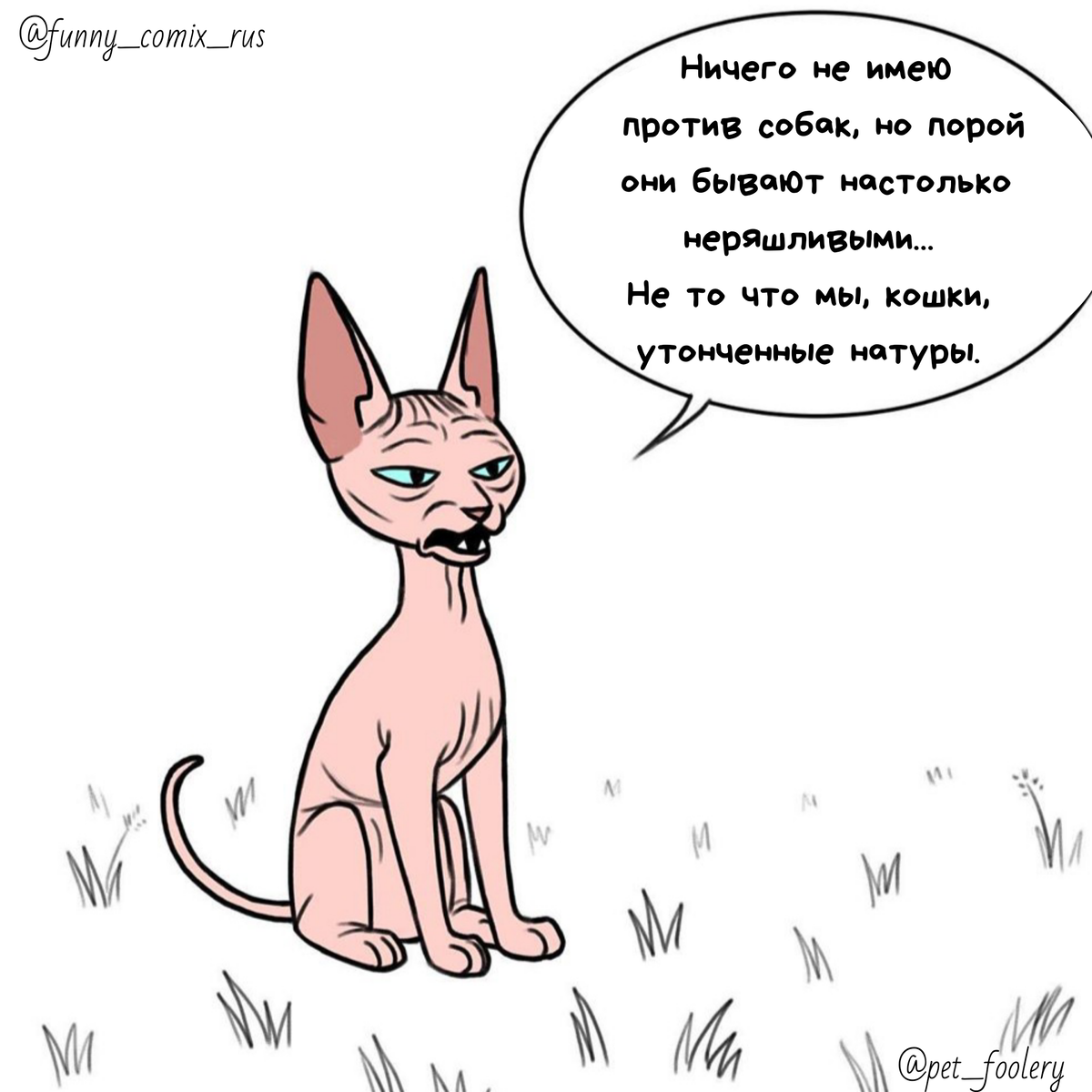 Источник: Instagram @funny_comix_rus