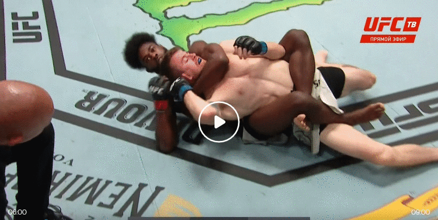 Фото из свободного источника.