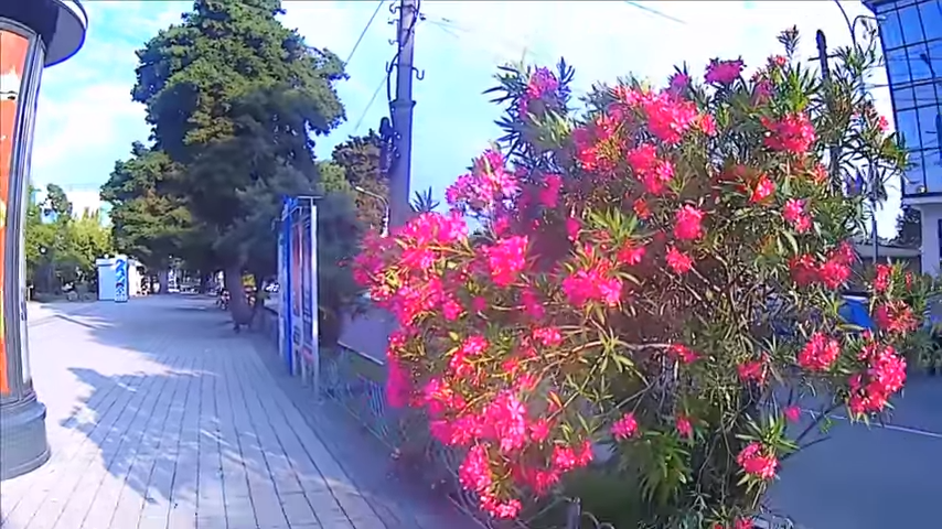 🔥Улицы. Парк. Иду к морю\ Сочи Лазаревское. Лето 2020 13.06