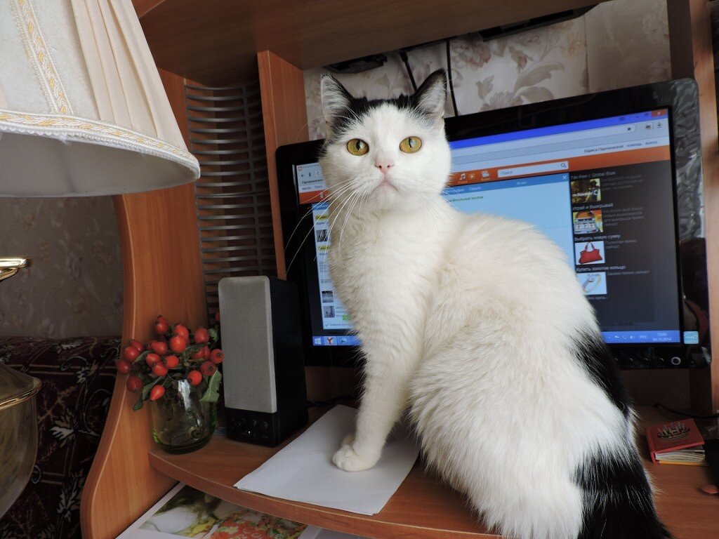 фото  автора