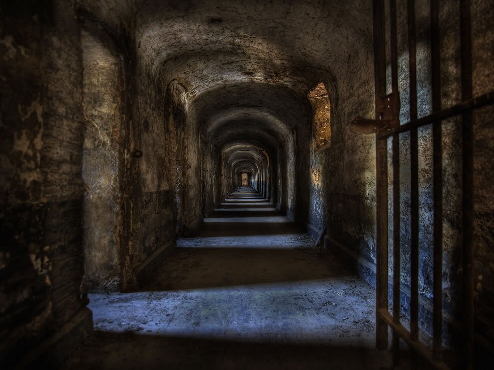 Данная картинка взята из открытого банка фотографий