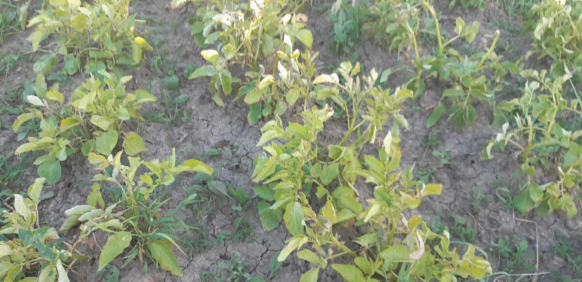 авторское фото