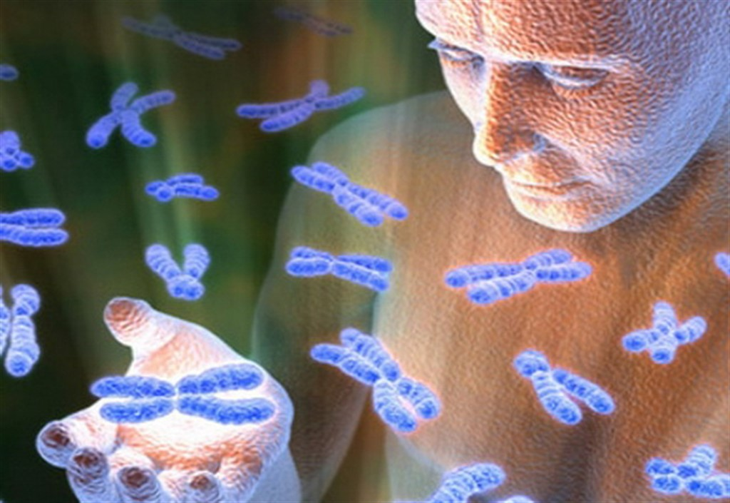 Источник: Яндекс картинки