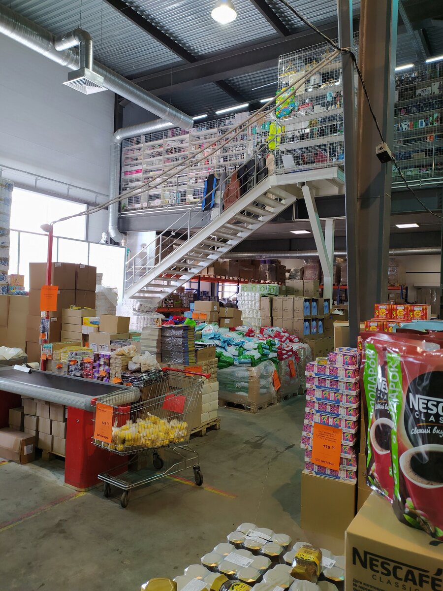 Фотография автора статьи